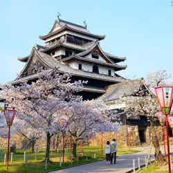 松江城/提供画像