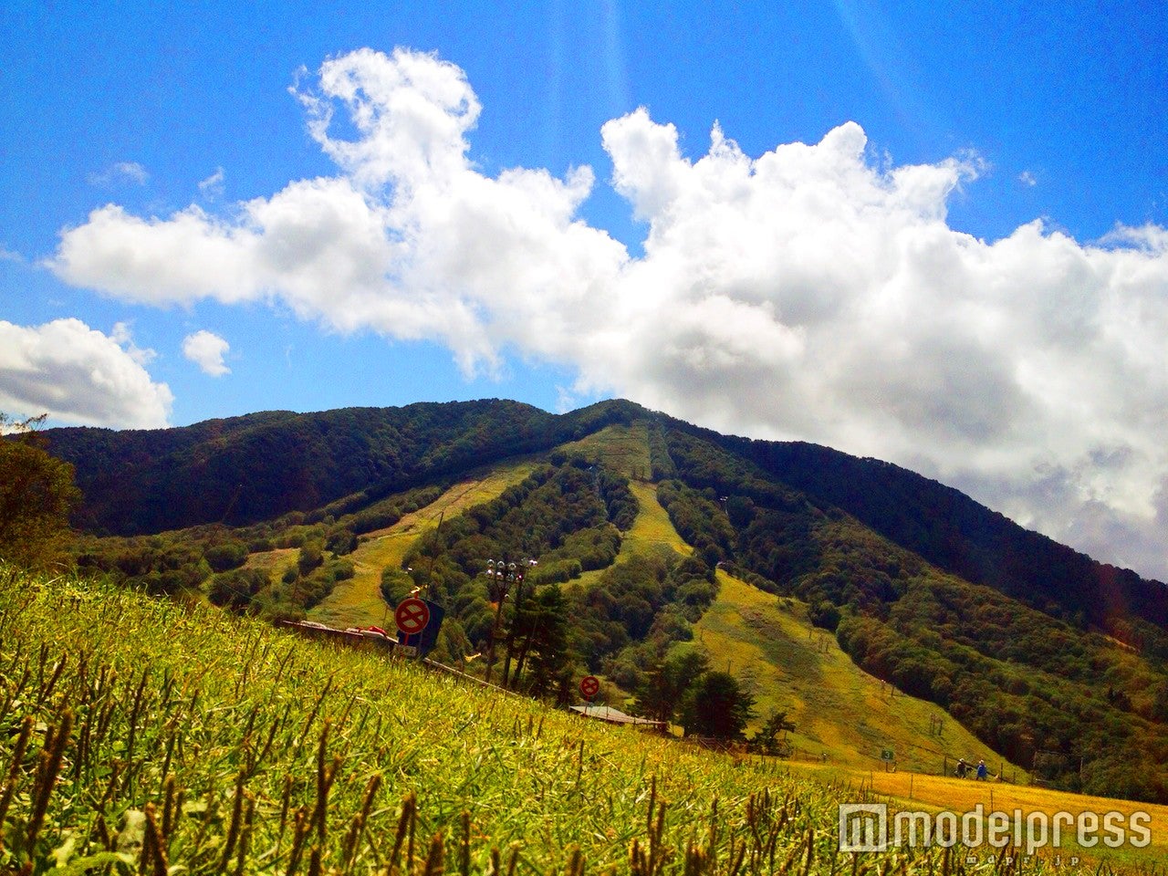 斑尾高原（C）モデルプレス