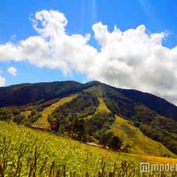 斑尾高原(C)モデルプレス