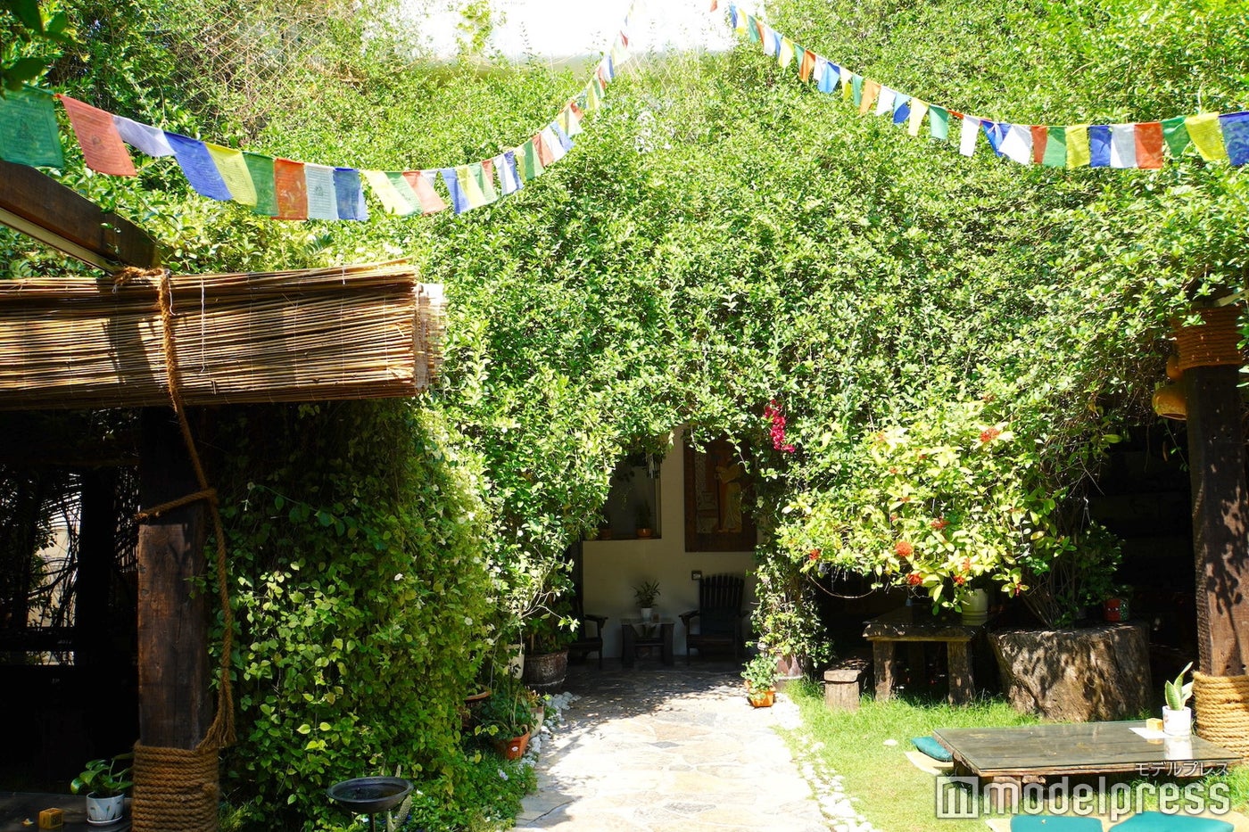 セヴァ(C)モデルプレス