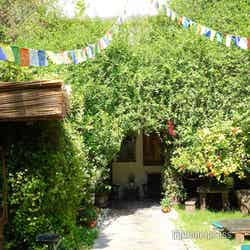 セヴァ(C)モデルプレス