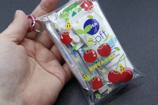セリアの便利なニャッキ！カラビナ付きクリアケース