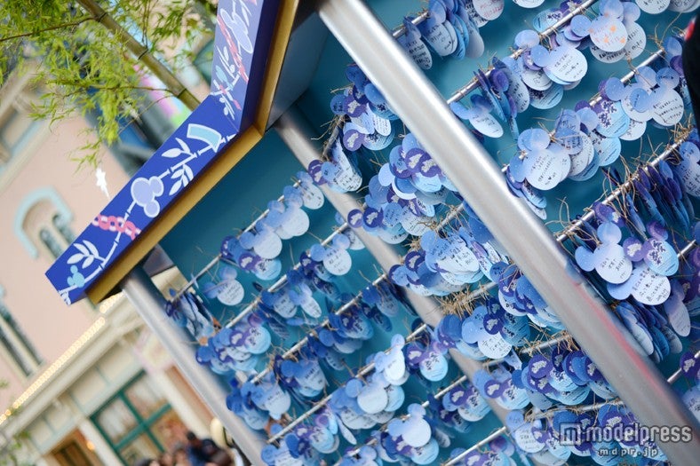 ウィッシングプレイス（TDL）