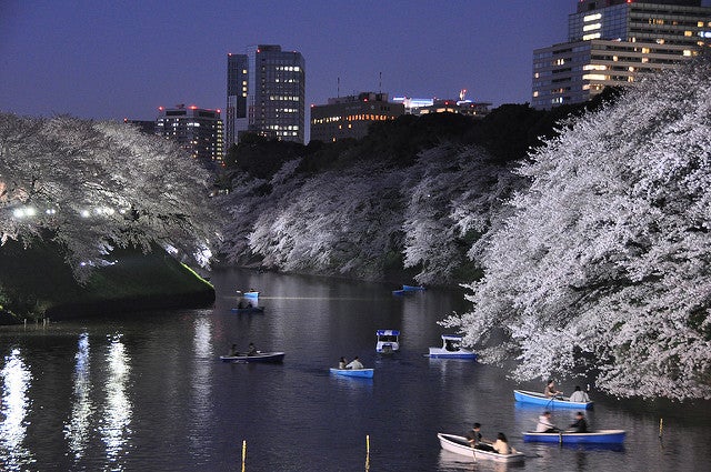丸親ベイツ　トンカチ夜桜 CATEGORY ルアー | 丸親商會