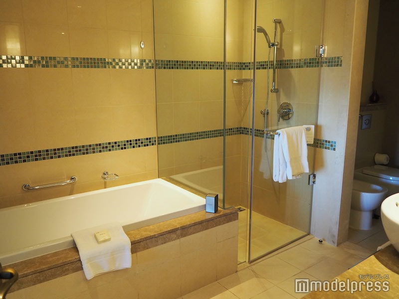 広々としたバスルームは浴槽とシャワー室が両方完備されている（C）モデルプレス