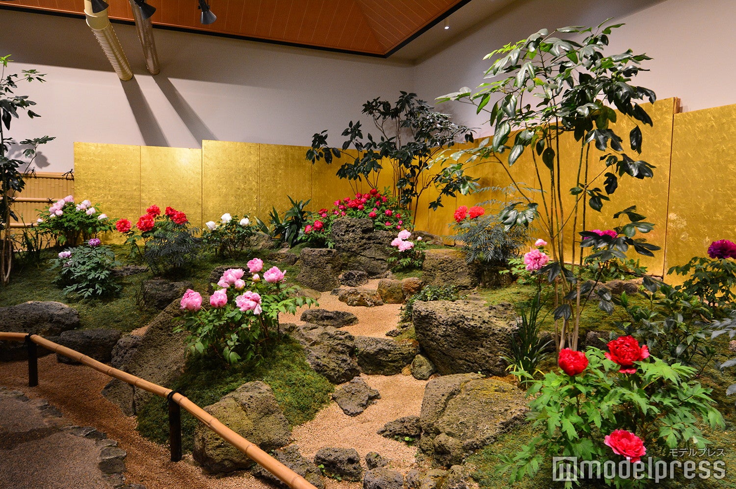 （C）モデルプレス