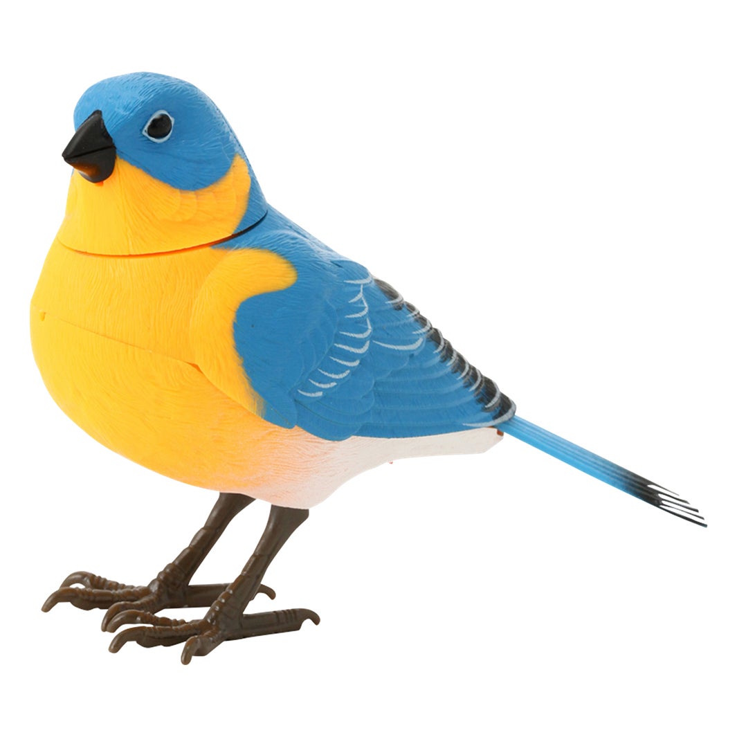 木全翔也 愛用アイテム （提供画像）