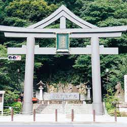 日枝神社／Hie Shrine by Dick Thomas Johnson