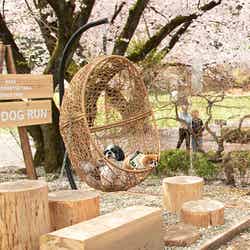 那須千本松牧場/提供画像