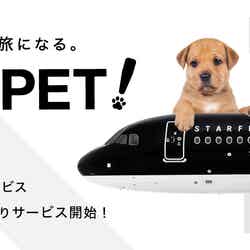 FLY WITH PET!/画像提供:スターフライヤー