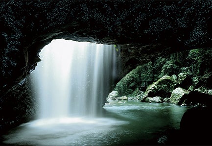 土ボタル観賞イメージ／画像提供：JTBワールドバケーションズ