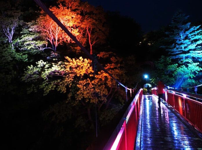 ライトアップされた渓谷