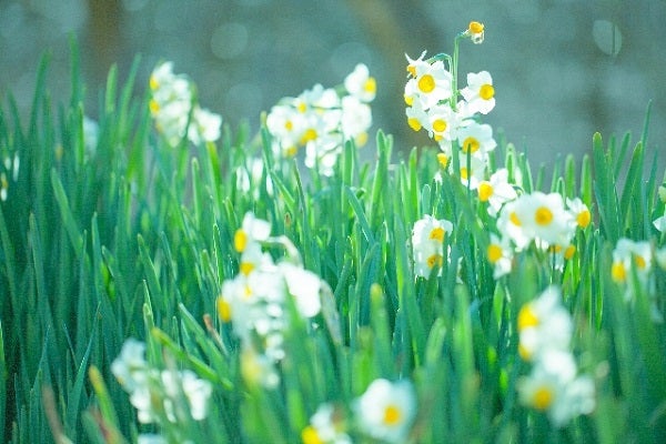 12星座別に方位で運気を高める ロケーショナル風水 射手座編 モデルプレス