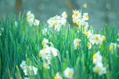 12星座別に方位で運気を高める ロケーショナル風水 射手座編 モデルプレス 12星座別に方位で運気を高める ロケーショナル風水 射手座編 モデルプレス