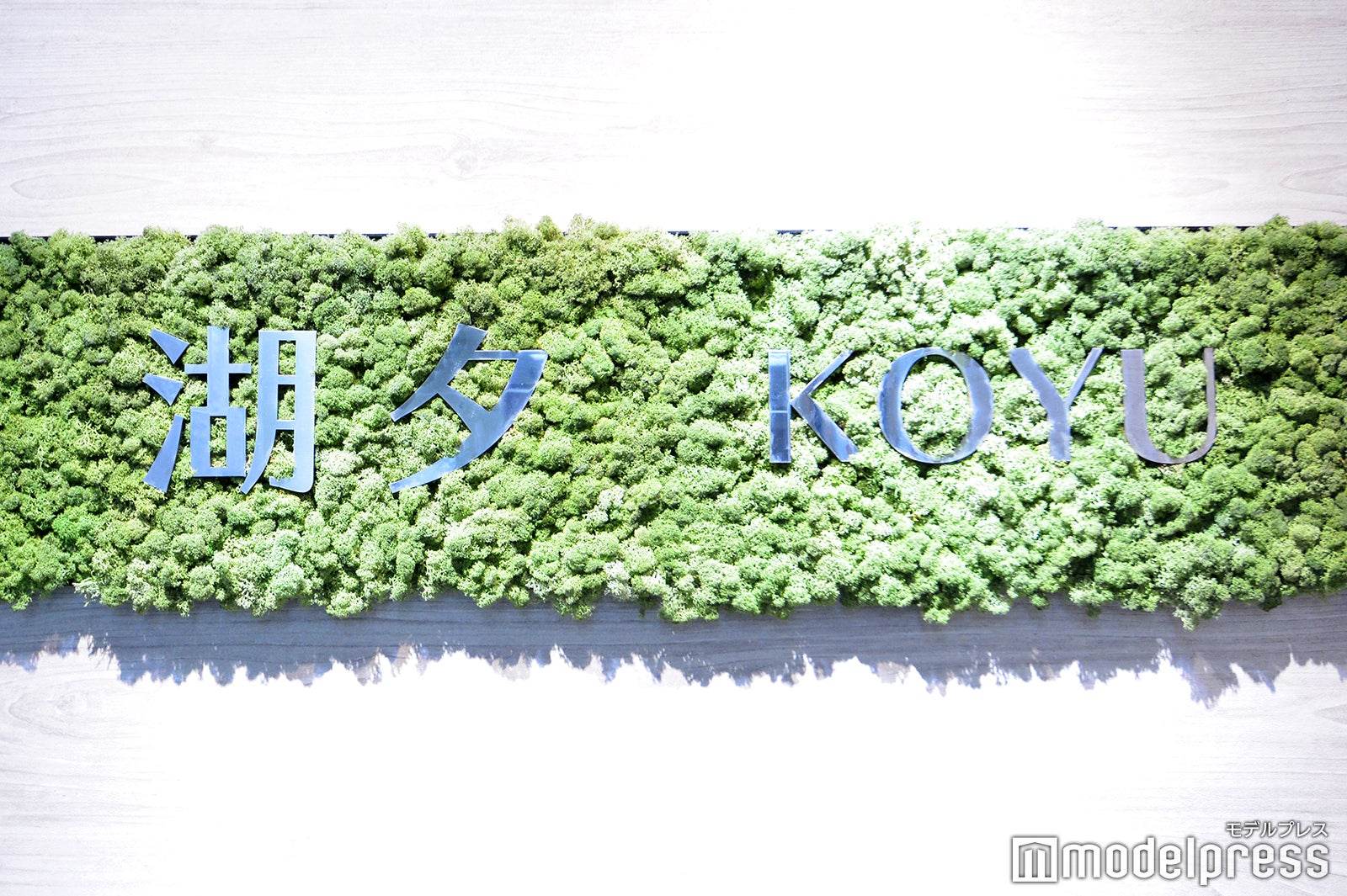 （C）モデルプレス