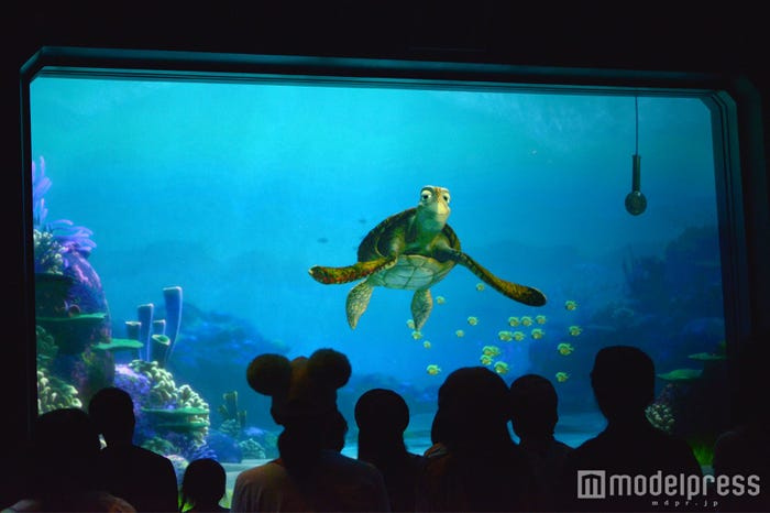 アトラクション「タートル・トーク」(C)モデルプレス