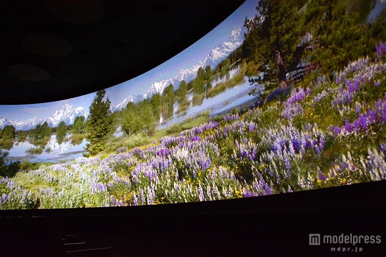 「マジック・オブ・イエローストーン」／世界遺産の絶景にうっとり