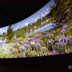 「マジック・オブ・イエローストーン」/世界遺産の絶景にうっとり