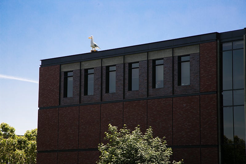 「ブルックリン」（撮影：Kaori Suzuki）