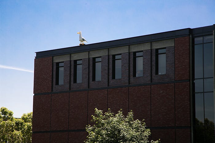 「ブルックリン」(撮影:Kaori Suzuki)