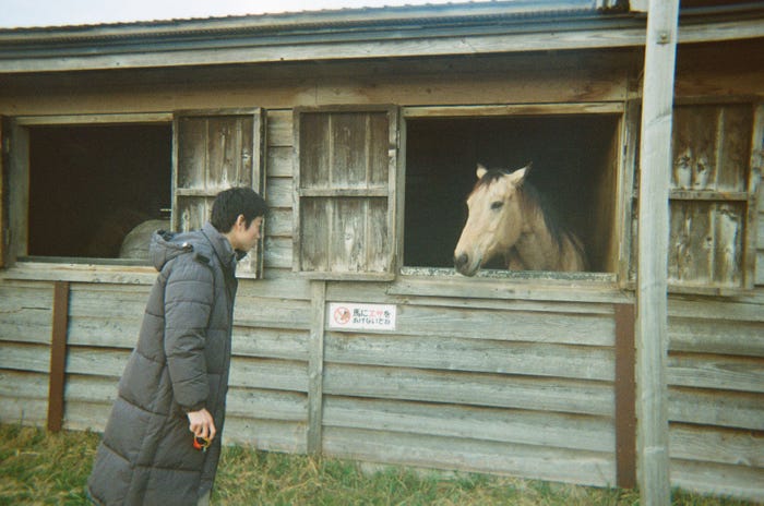 菅田将暉(提供写真)