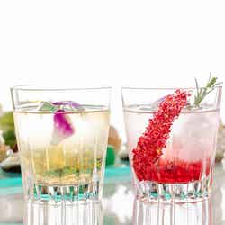 コンラッドアフタヌーンティー with JIMMY CHOO/画像提供:コンラッド東京