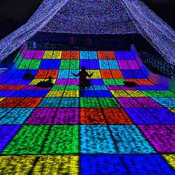 ジュエリー・ゲレンデ(昨年の様子)/画像提供:よみうりランド