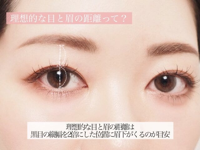 理想的な目と眉の距離　解説
