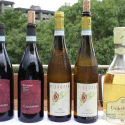 ふふ 熱海(C)モデルプレス