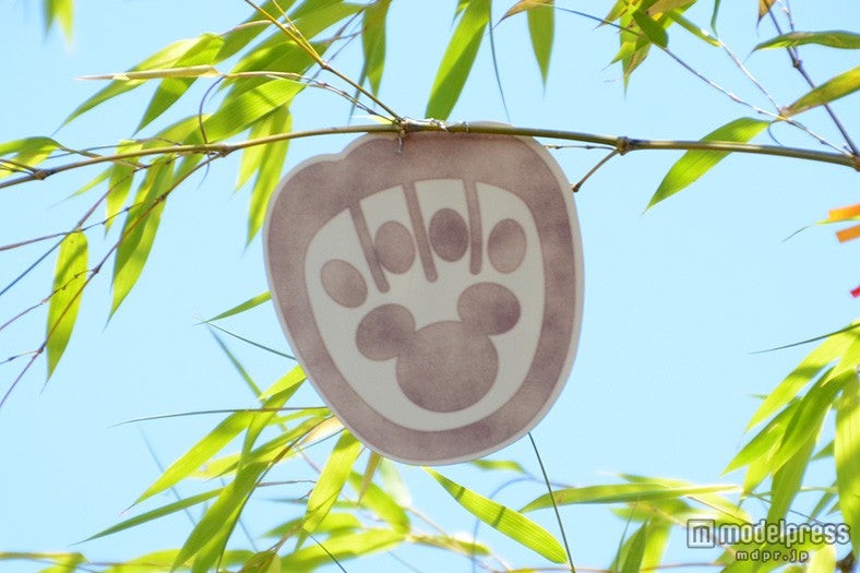 ディズニーシー、ダッフィーのウィッシングカード