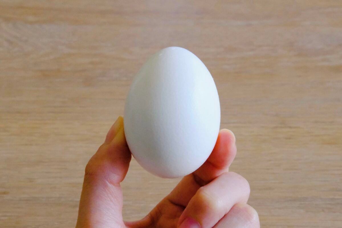 殻付き塩味ゆで卵