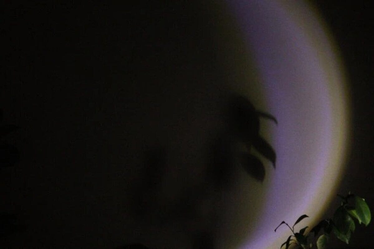 ダイソー　三日月ライト　使用例