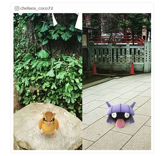 たくさん歩いていろんな場所を巡ってみよう／chelsea_coco72さんInstagramより