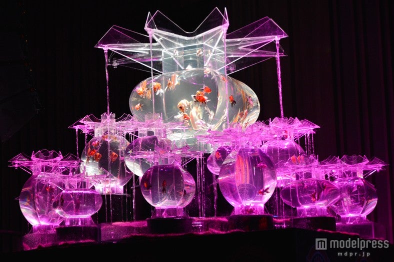 「『ECO EDO 日本橋』ダイナースクラブ アートアクアリウム2013～江戸・金魚の涼～」