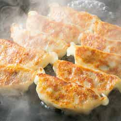 クラフト餃子フェス/画像提供:LAF Entertainment