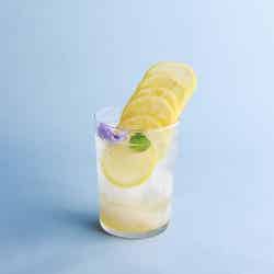レモンハイボール税込650円/提供画像