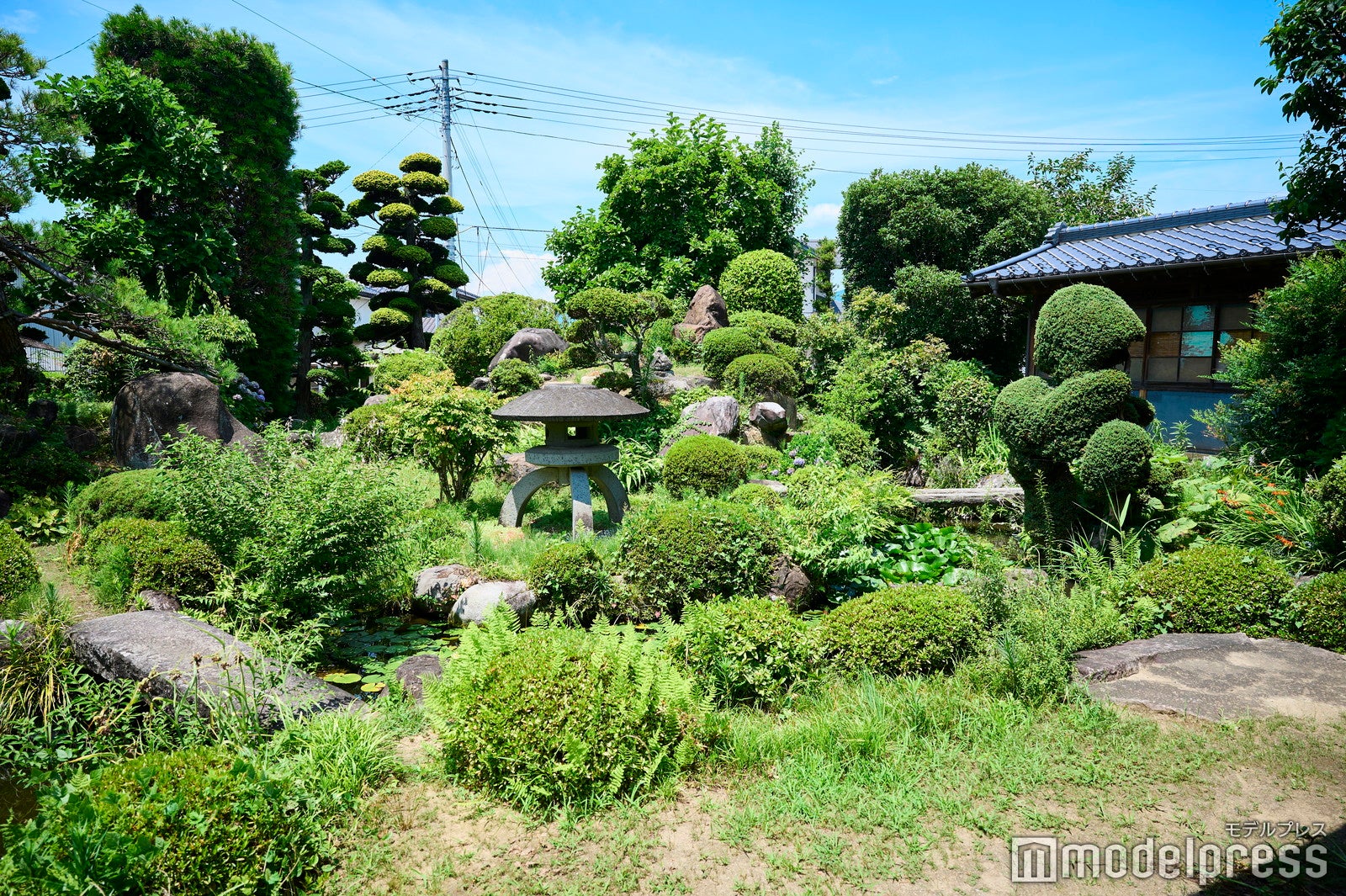 緑いっぱいの中庭（C）モデルプレス