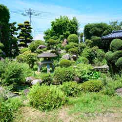 緑いっぱいの中庭(C)モデルプレス