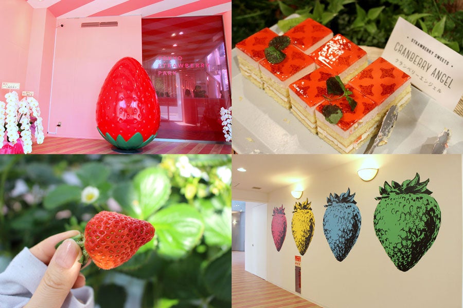 東京ストロベリーパーク 導入