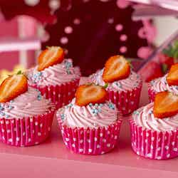 Strawberry Chocolate Factory/提供画像