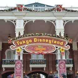 東京ディズニーランド（C）モデルプレス（C）Disney
