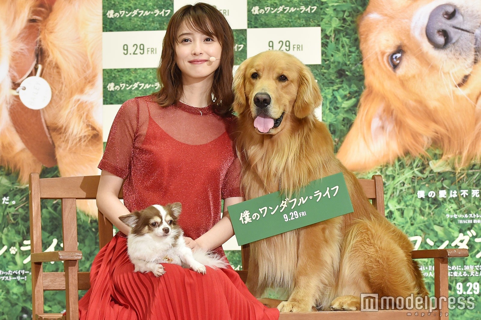 佐々木希 運命の出会いを語る 愛犬 マロン と登場 僕のワンダフル ライフ モデルプレス