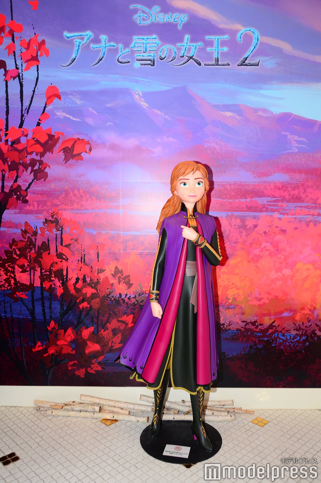 エントランスのアナのフォトスポット（C）モデルプレス