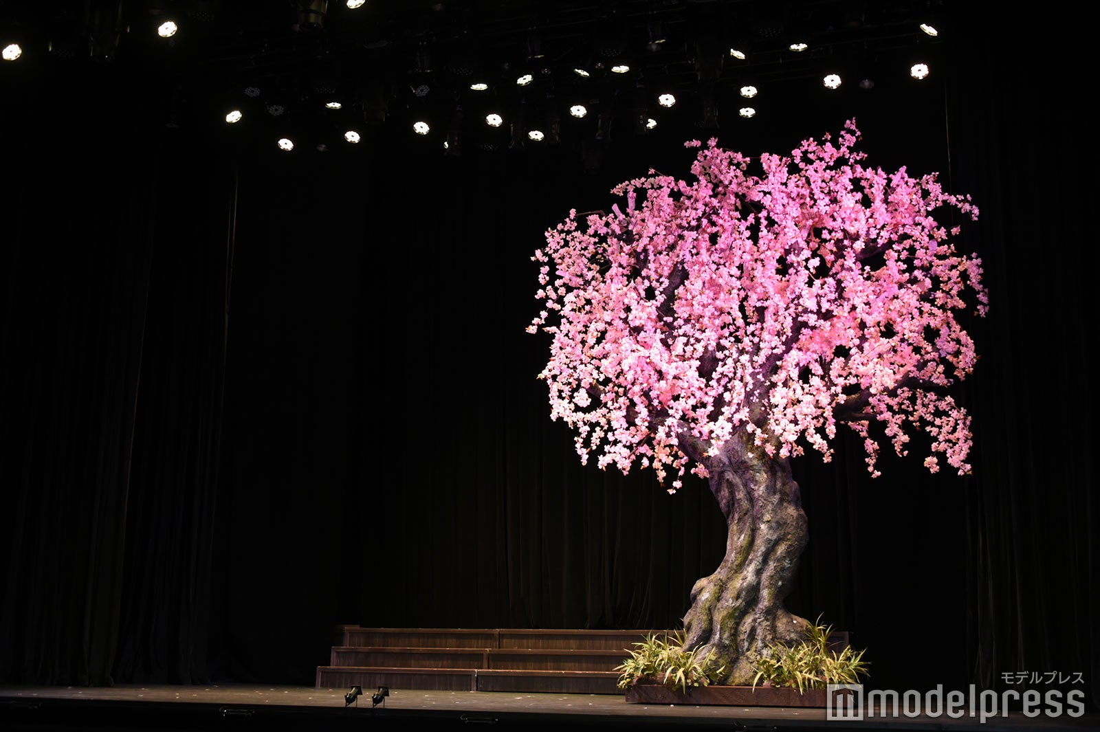 舞台の様子（C）モデルプレス