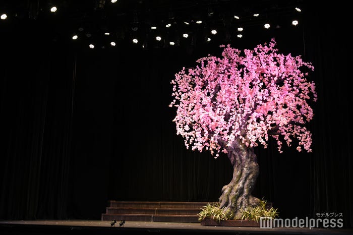 舞台の様子(C)モデルプレス