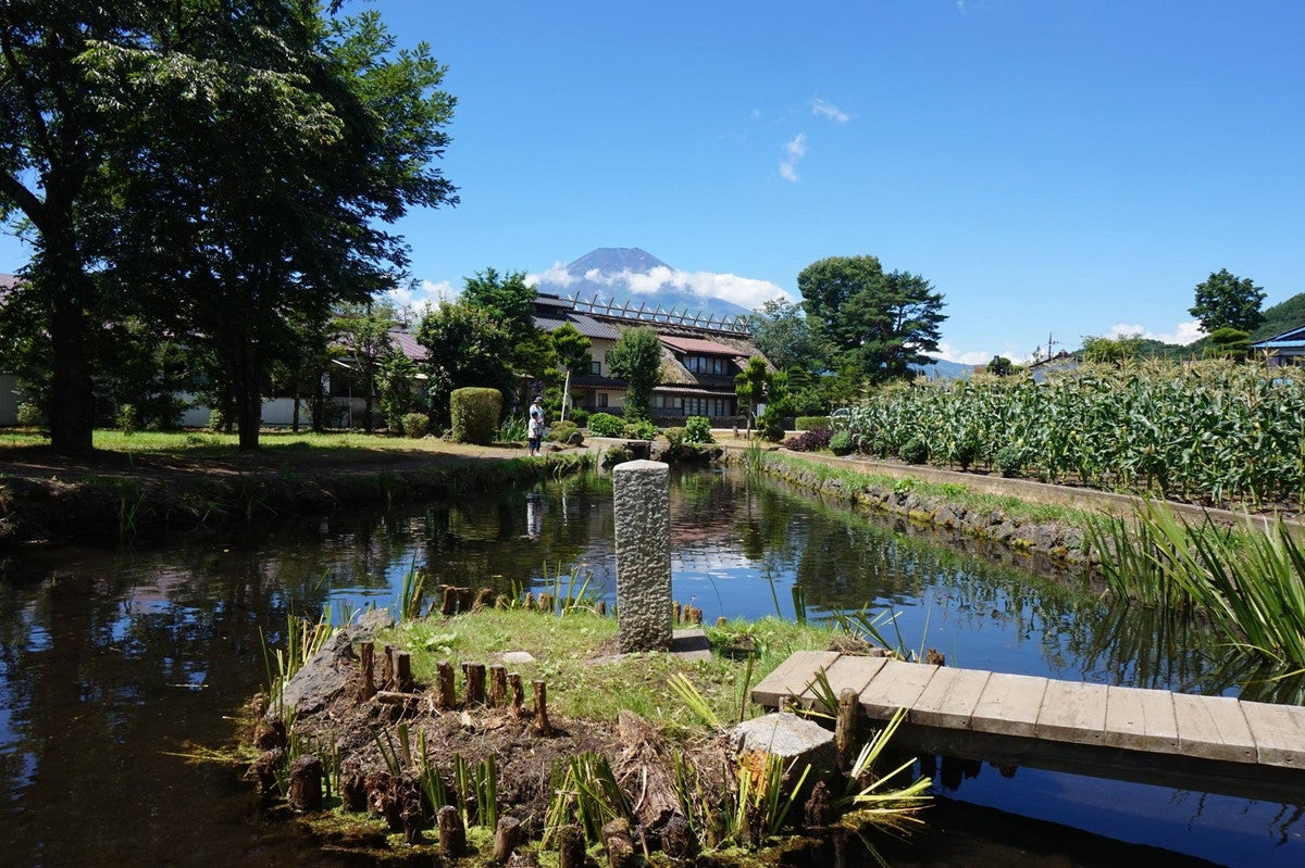 忍野八海 菖蒲池／写真提供：忍野村観光協会