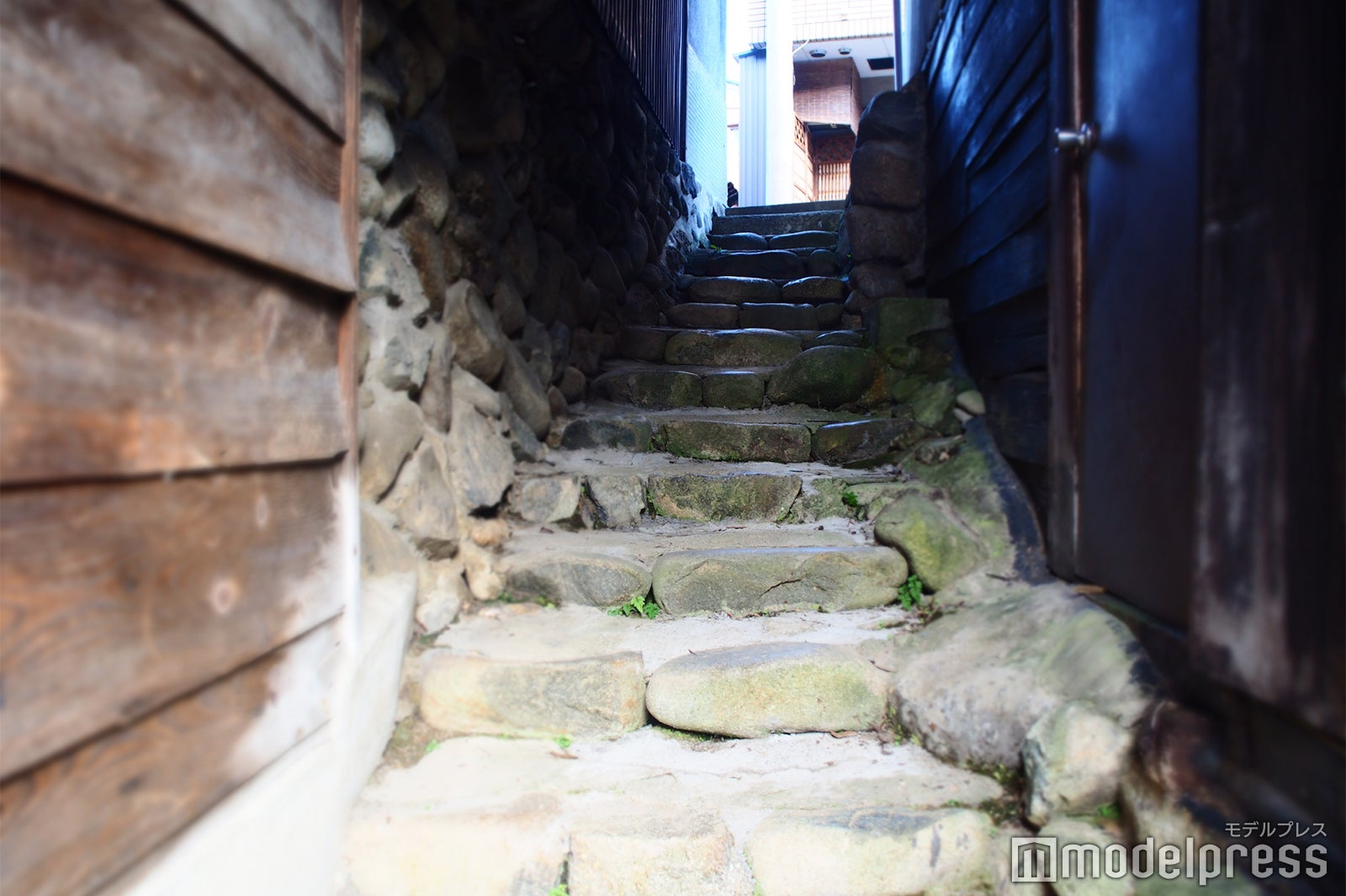 筋骨めぐり（C）モデルプレス