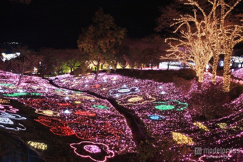 「さがみ湖イルミリオン」／画像提供：富士急行