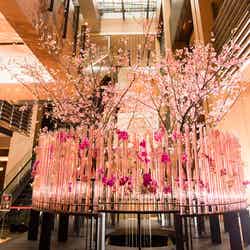 Spring Greeting Gate/画像提供:東京ミッドタウンマネジメント