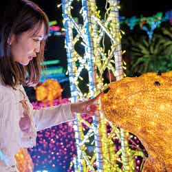 巧妙な立体感で思わず触れたくなるかわいさ(提供画像)